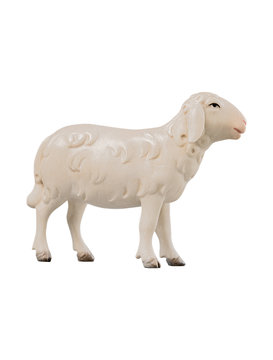 LI Pecora guardante in avanti EI54057 (8 cm, colore)