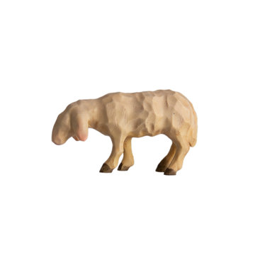 Sheep standing looking forward ANNA FR8143 (3,94", color)