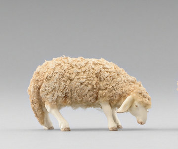 Schaf äsend mit Wolle HE236103 (12 cm, lasiert)