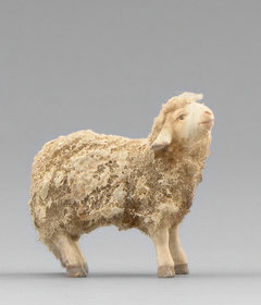 Lamm mit Wolle HE236107 (12 cm, lasiert)