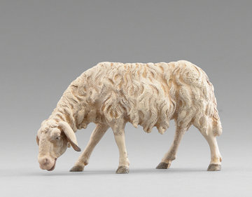 Schaf äsend HE236122 (10 cm, lasiert)