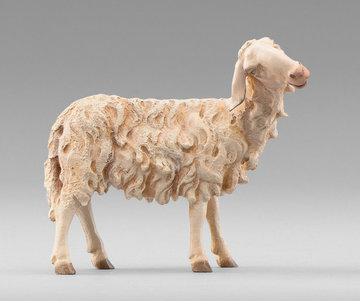 Schaf zurückschauend HE236123 (10 cm, lasiert)
