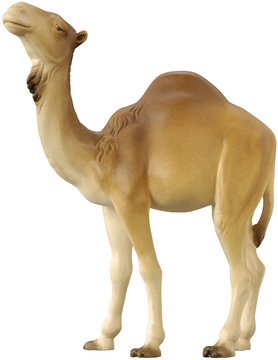 Cammello per.pres.mod. HE1340 (10 cm, colore)
