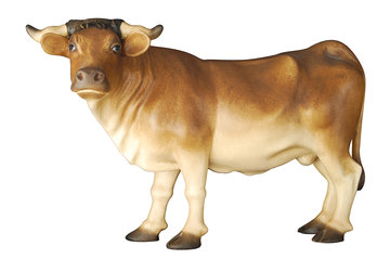 Ox K0155007 (3,54", color)