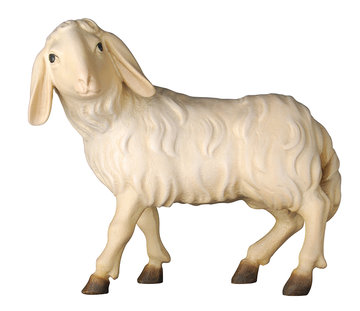 Sheep standing K0155017 (3,54", color)
