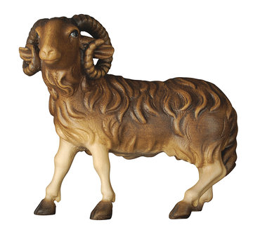 Ram K0155021 (3,54", color)