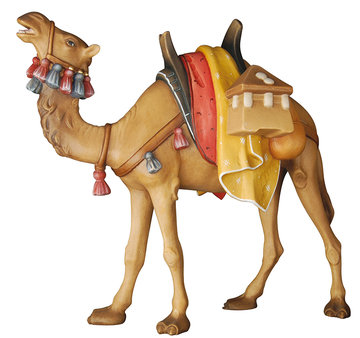 Camel K0155034 (3,54", color)