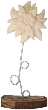 Stella alpina con gambo in metallo K00985M (17 cm, colore)