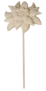 Fiore di stella alpina da infilare K00985S (6 cm, colore)