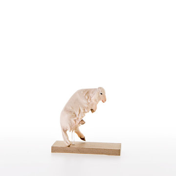 Agnello saltellante dalla gioia LE10000-27G (12 cm, colore)