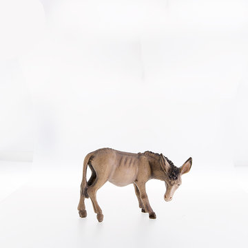 Donkey LE20007-A (3,94", color)