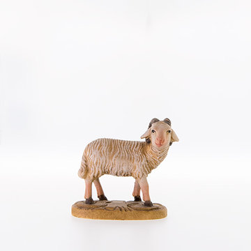 Ram LE21079 (3,15", color)