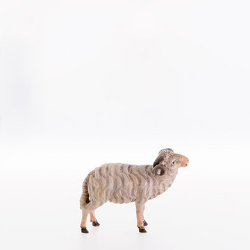 Ram LE21177 (3,94", color)