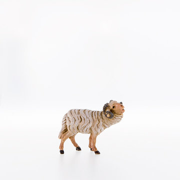 Ram LE21179 (3,94", color)