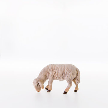 Sheep grazing LE21201-A (3,94", color)