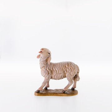 Sheep looking up LE21203 (3,94", color)