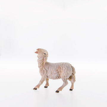 Sheep looking up LE21203-A (3,94", color)