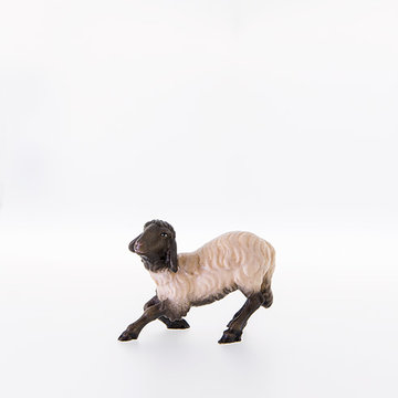 Sheep kneeling with black head LE21209-AS (3,94", color)