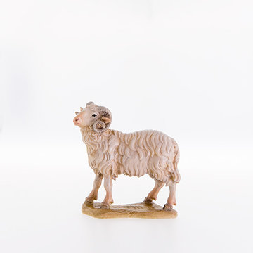 Ram LE21278 (3,94", color)