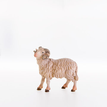 Ram LE21278-A (3,94", color)