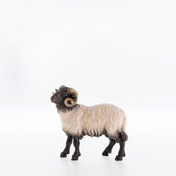 Ram with black head LE21278-AS (3,94", color)