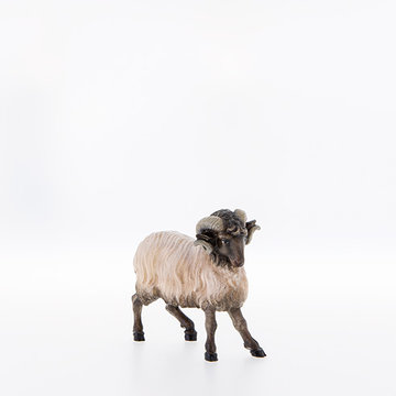 Ram with black head LE21279-AS (3,94", color)