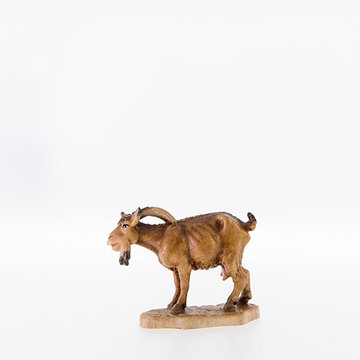 Goat looking down LE21301 (3,94", color)