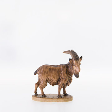 He - goat LE21379 (3,15", color)