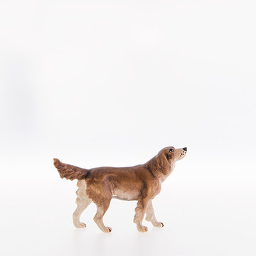 Irish setter LE22050-A (3,94", color)