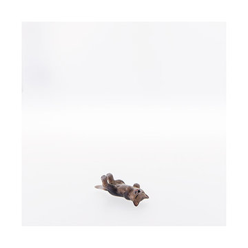 Little cat lying with closed eyes LE22104-A (3,15", color)