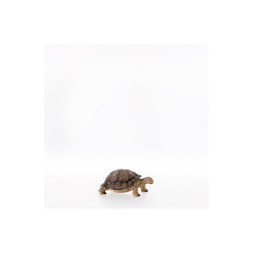 Turtle LE22200-A (3,94", color)