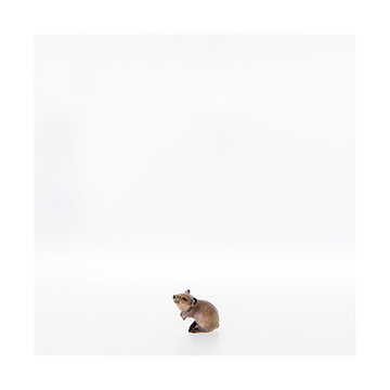 Mouse LE22201-A (4,72", color)