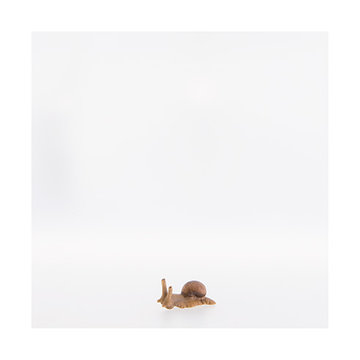 Big snail LE22206-A (4,72", color)