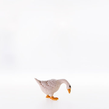 Goose looking down LE22301-A (3,94", color)