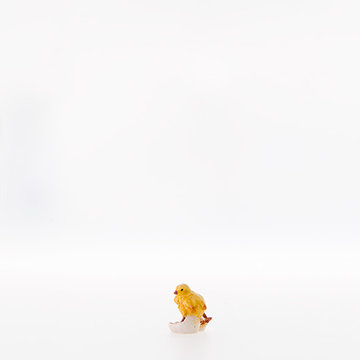 Chick in egg - shell LE22407 (4,72", color)
