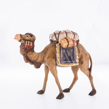 Camel LE24020 (1,97", color)