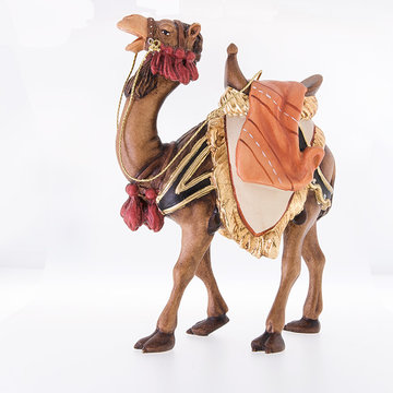 Camel LE24021 (3,15", color)