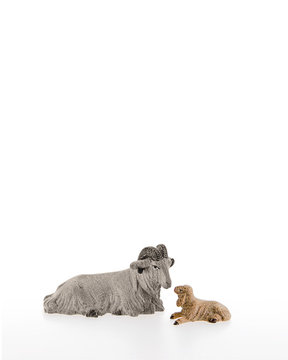 Newborn lamb LE10000-15 (4,72", stained 3 col.)