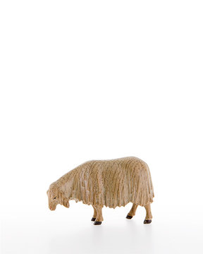 Sheep sniffing LE10000-16 (4,72", stained 3 col.)