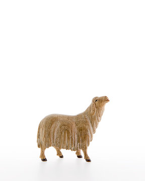 Sheep licking LE10000-18 (4,72", stained 3 col.)