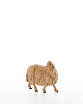 Sheep looking back LE10000-21 (4,72", stained 3 col.)