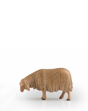 Schnupperndes Schaf LE10000-16 (12 cm, 3f.gebeizt)