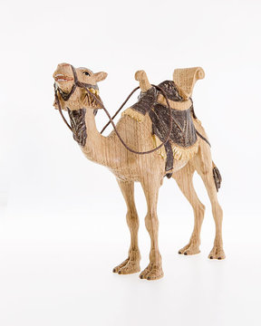 Kamel LE24024--A (12 cm, 3f.gebeizt)