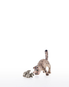 Cat with wide front legs LE10200-71 (8 cm, colore)