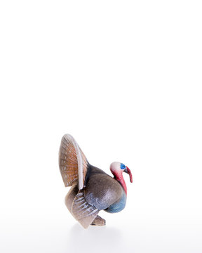 Turkey LE10200-73 (8 cm, colore)