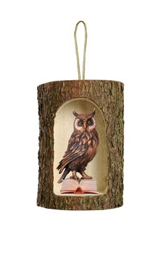 Owl on book in tree trunk hanging PE755008 (1,57", color)