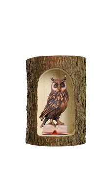 Owl on book in a tree trunk PE755009 (1,57", color)