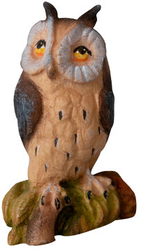 long - eared owl SA4330 (1,18", color)