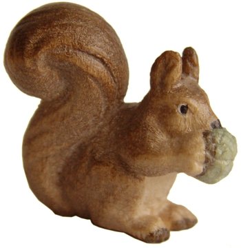 Squirrel SA4334 (0,79", color)
