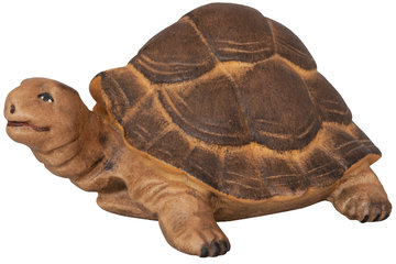 Giant Tortoise SA4337 (1,18", color)